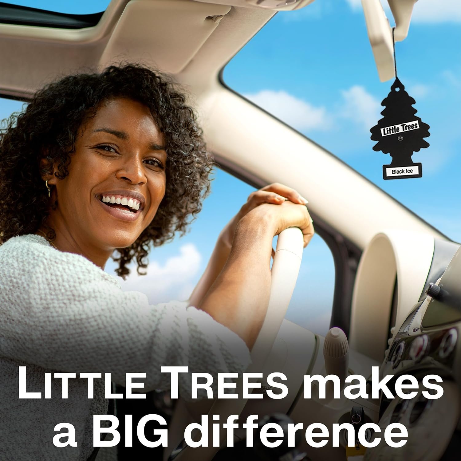 LITTLE TREES Car Air Freshener Black Ice